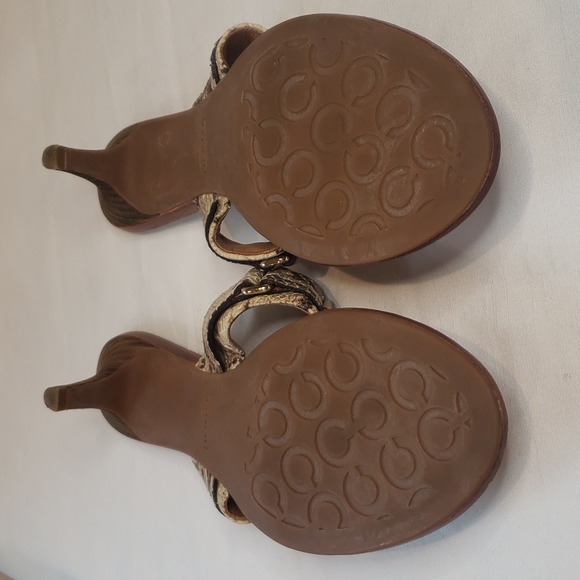 COACH Alberta Snakeskin Kitten Heel Thong Sandals - Picture 7 of 7